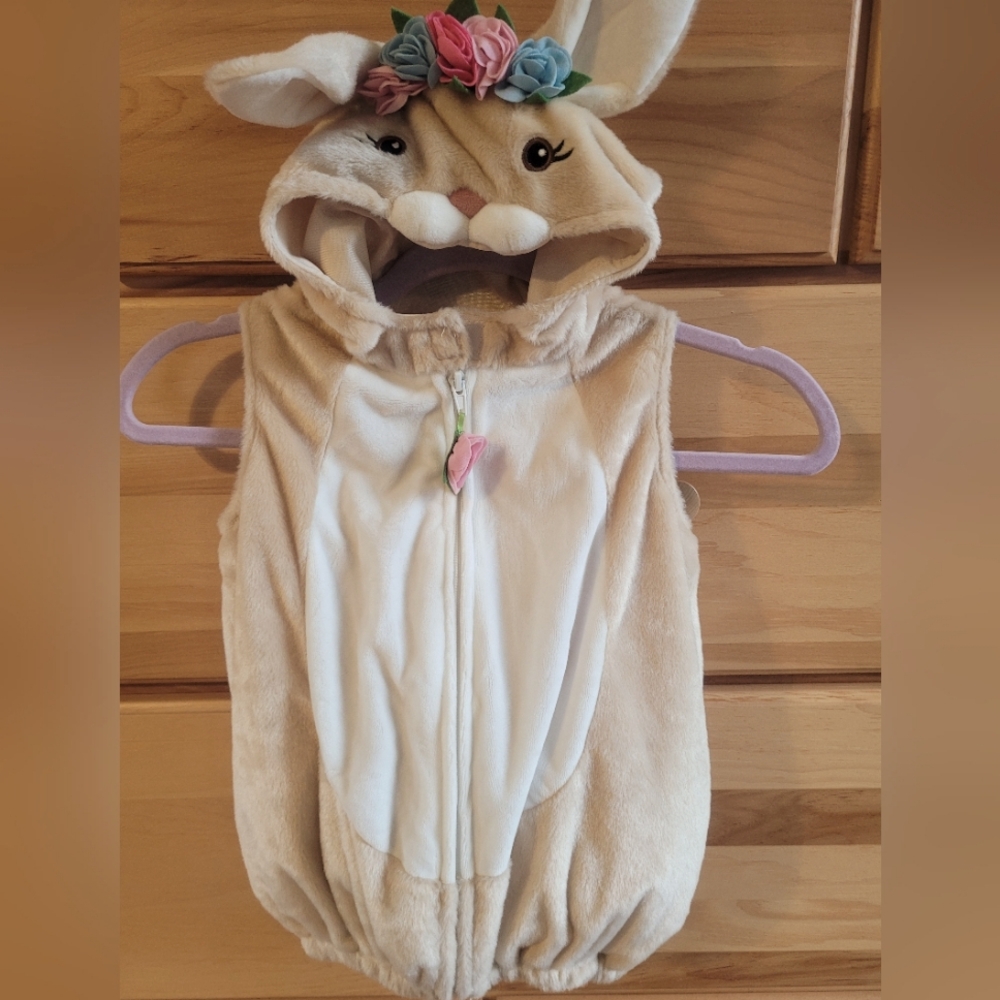 Dream Play Imagine 24 Month Bunny Costume